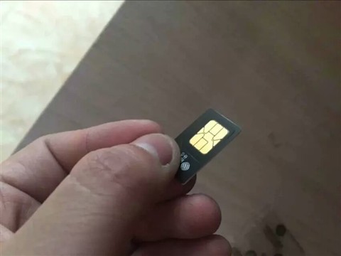 1448003693534